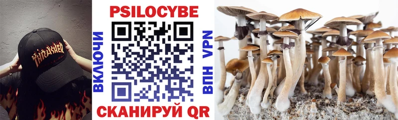 Галлюциногенные грибы прущие грибы  Семикаракорск 